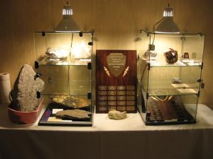 CVMC display