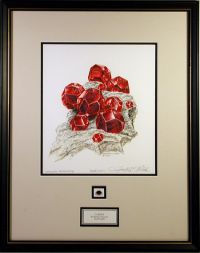 Framed Birthstone Print with Gemstone